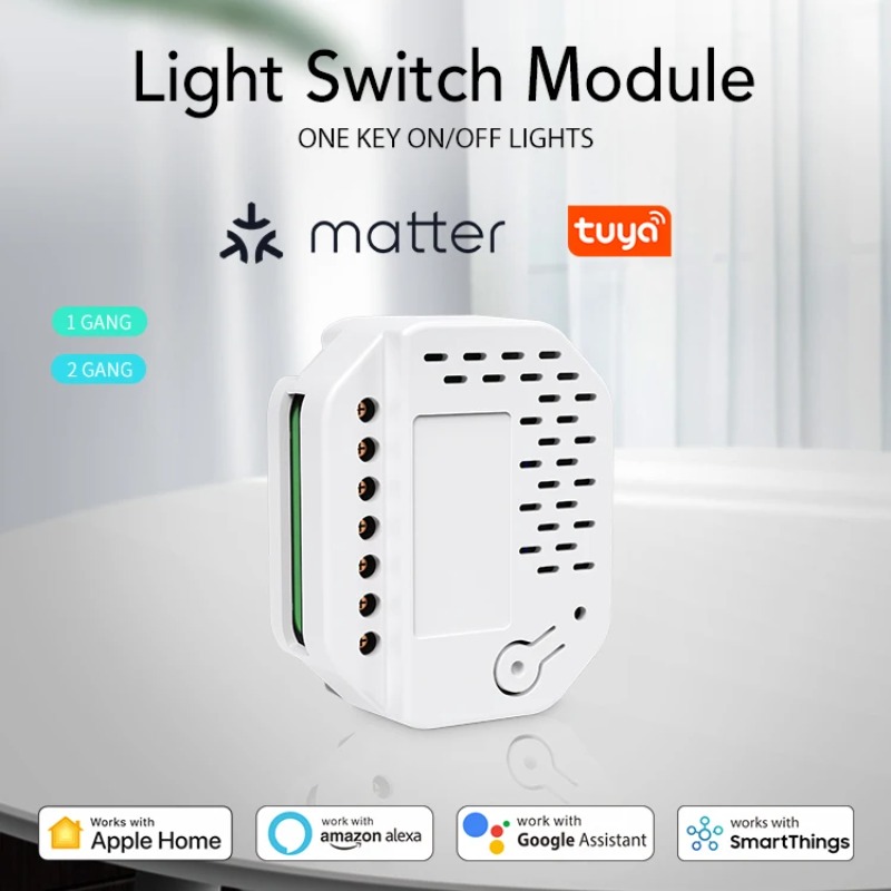 Matter Light Switch Module 2Ga - đánh giá và giá Smart Relay Tuya